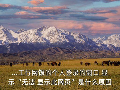 ...工行網(wǎng)銀的個人登錄的窗口 顯示“無法 顯示此網(wǎng)頁”是什么原因