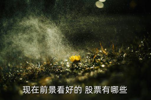 2016業(yè)績(jī)好的股票