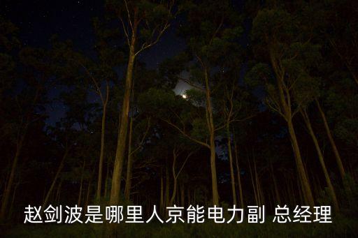 趙劍波是哪里人京能電力副 總經理