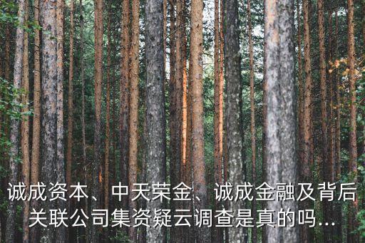 誠成資本、中天榮金、誠成金融及背后關(guān)聯(lián)公司集資疑云調(diào)查是真的嗎...