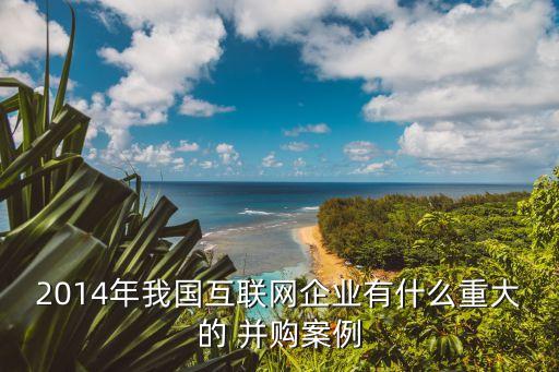 2014年我國(guó)互聯(lián)網(wǎng)企業(yè)有什么重大的 并購(gòu)案例