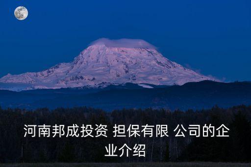 河南邦成投資 擔(dān)保有限 公司的企業(yè)介紹