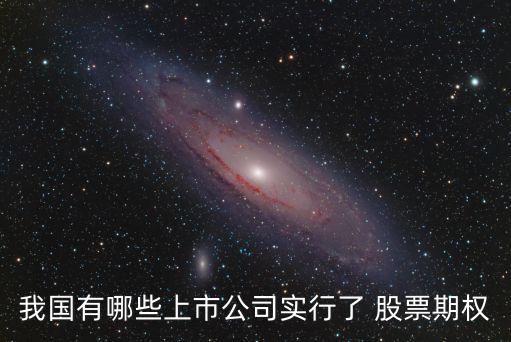 我國有哪些上市公司實行了 股票期權