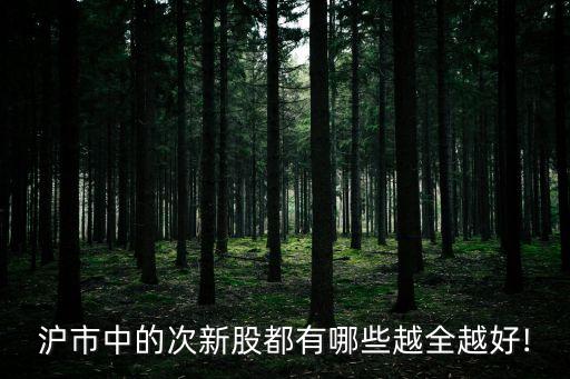 滬市中的次新股都有哪些越全越好!