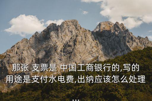 那張 支票是 中國(guó)工商銀行的,寫(xiě)的用途是支付水電費(fèi),出納應(yīng)該怎么處理...