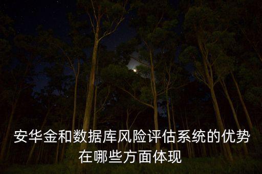  安華金和數(shù)據(jù)庫(kù)風(fēng)險(xiǎn)評(píng)估系統(tǒng)的優(yōu)勢(shì)在哪些方面體現(xiàn)