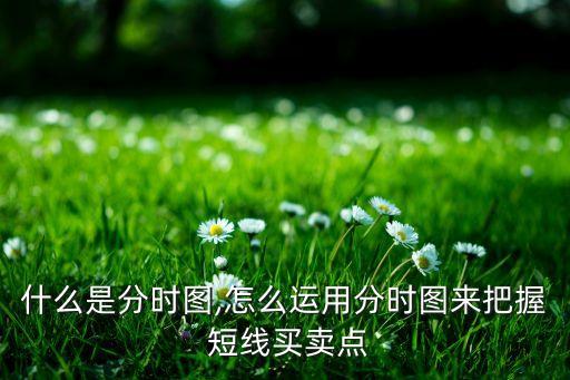 什么是分時圖,怎么運(yùn)用分時圖來把握 短線買賣點(diǎn)