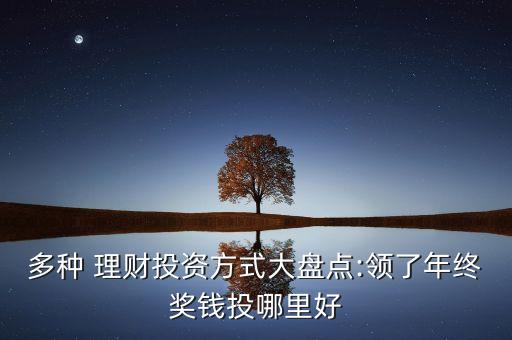 多種 理財投資方式大盤點:領(lǐng)了年終獎錢投哪里好
