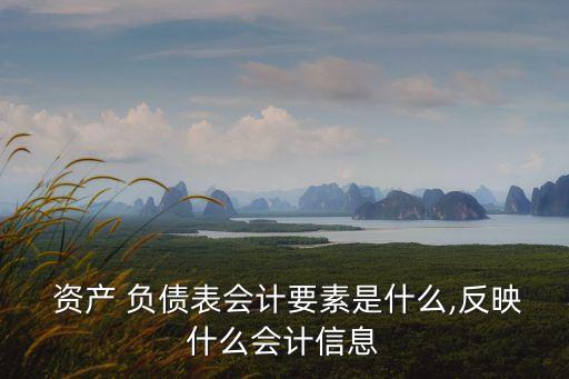 資產 負債表會計要素是什么,反映什么會計信息