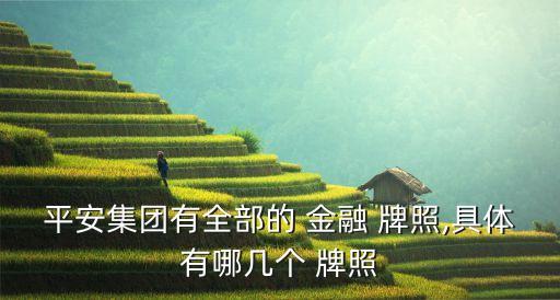 中國(guó)一共金融牌照,金融牌照一共有多少?gòu)?/></a></span><span id=