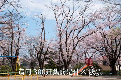 請(qǐng)問(wèn) 300開(kāi)頭的是什么 股票