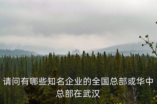 武鍋集團江,武鍋能源集團