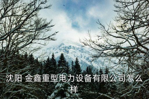 沈陽 金鑫重型電力設備有限公司怎么樣