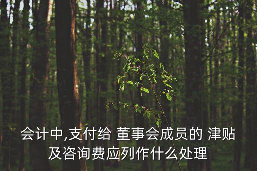 會(huì)計(jì)中,支付給 董事會(huì)成員的 津貼及咨詢費(fèi)應(yīng)列作什么處理