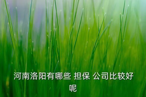  河南洛陽有哪些 擔(dān)保 公司比較好呢