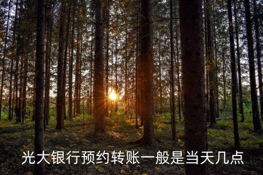  光大銀行預(yù)約轉(zhuǎn)賬一般是當(dāng)天幾點(diǎn)