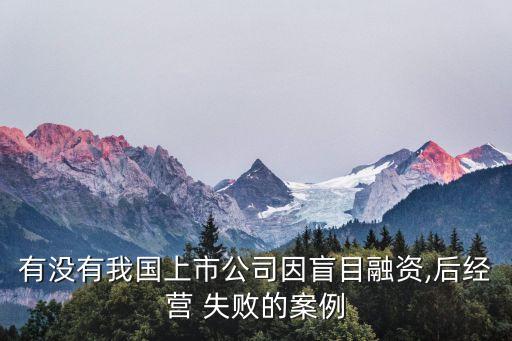 有沒有我國上市公司因盲目融資,后經營 失敗的案例