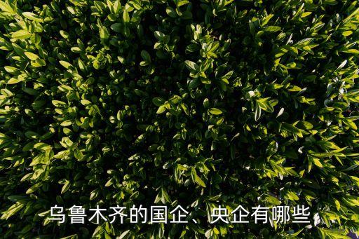 烏魯木齊的國企、央企有哪些