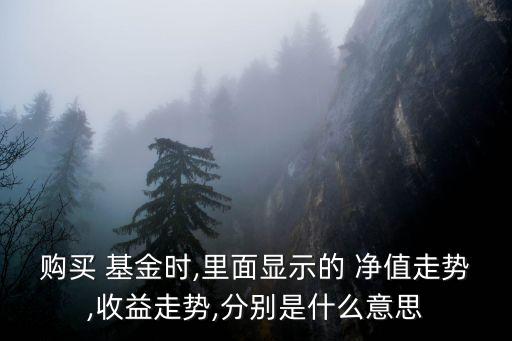 購(gòu)買 基金時(shí),里面顯示的 凈值走勢(shì),收益走勢(shì),分別是什么意思