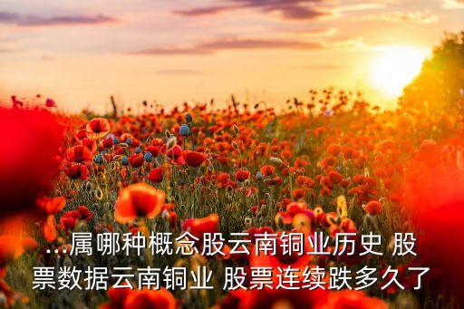 ...屬哪種概念股云南銅業(yè)歷史 股票數(shù)據(jù)云南銅業(yè) 股票連續(xù)跌多久了