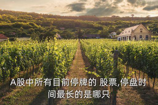 A股中所有目前停牌的 股票,停盤時間最長的是哪只