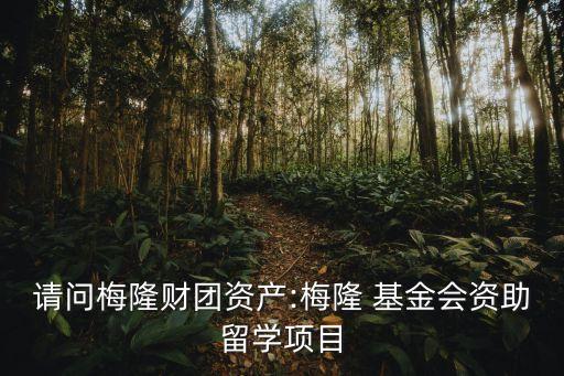 請問梅隆財團資產:梅隆 基金會資助留學項目
