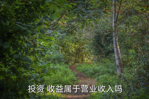  投資 收益屬于營業(yè)收入嗎