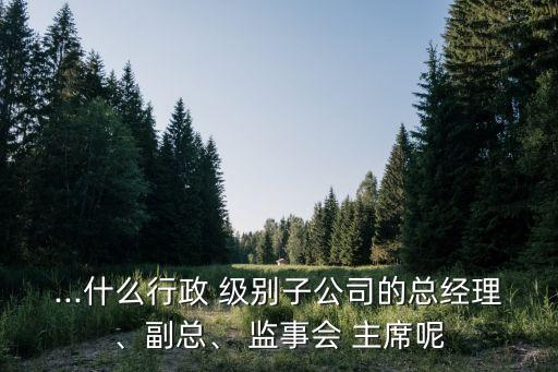 ...什么行政 級(jí)別子公司的總經(jīng)理、副總、 監(jiān)事會(huì) 主席呢