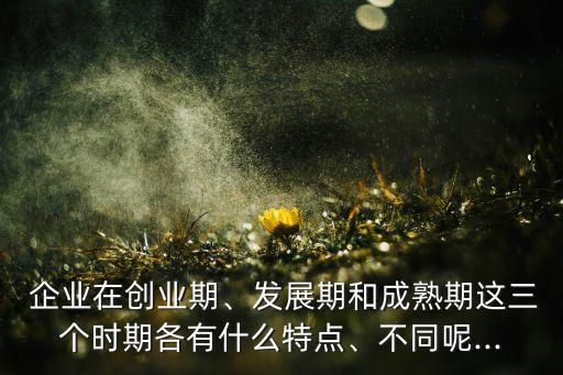  企業(yè)在創(chuàng)業(yè)期、發(fā)展期和成熟期這三個時期各有什么特點、不同呢...