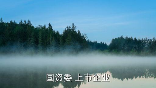 國資委 上市企業(yè)