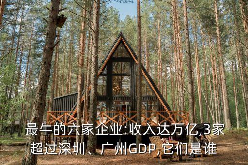  最牛的六家企業(yè):收入達(dá)萬億,3家超過深圳、廣州GDP,它們是誰