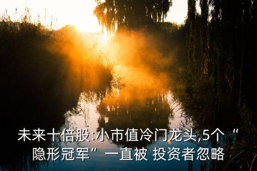 未來十倍股:小市值冷門龍頭,5個“隱形冠軍”一直被 投資者忽略