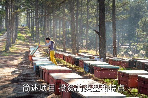 投資行為分類(lèi)