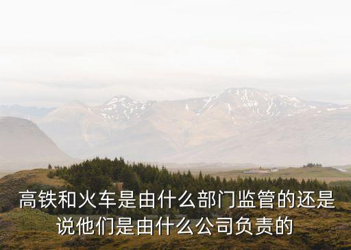  高鐵和火車是由什么部門(mén)監(jiān)管的還是說(shuō)他們是由什么公司負(fù)責(zé)的