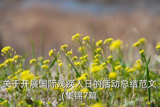 關于開展國際殘疾人日的活動總結(jié)范文(集錦7篇