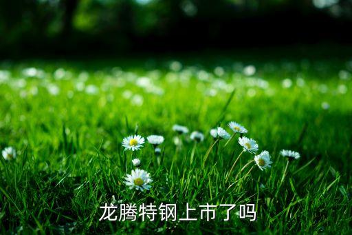  龍騰特鋼上市了嗎