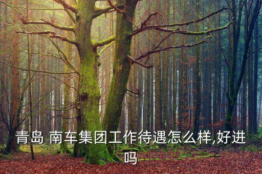 青島 南車集團工作待遇怎么樣,好進嗎