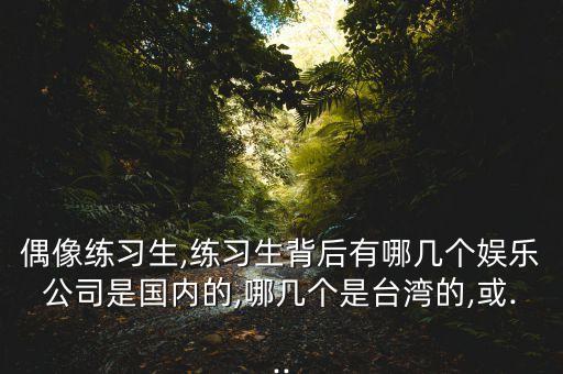 偶像練習(xí)生,練習(xí)生背后有哪幾個(gè)娛樂(lè)公司是國(guó)內(nèi)的,哪幾個(gè)是臺(tái)灣的,或...
