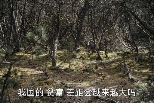 我國(guó)的 貧富 差距會(huì)越來越大嗎
