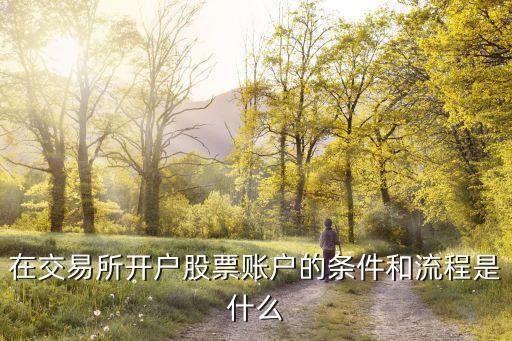 證券公司開(kāi)空戶