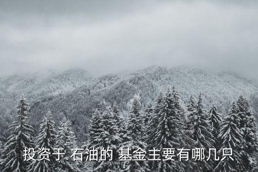 2016年買(mǎi)石油能源基金
