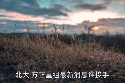 方正集團出事,新方正集團最新消息