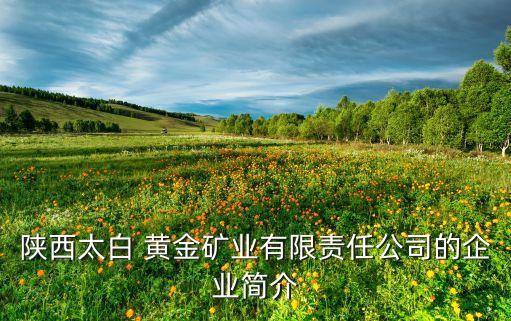 陜西太白 黃金礦業(yè)有限責(zé)任公司的企業(yè)簡介