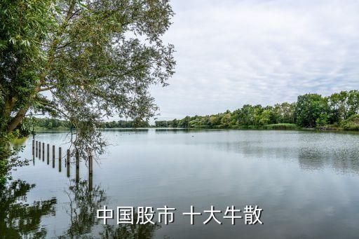 中國股市 十大牛散