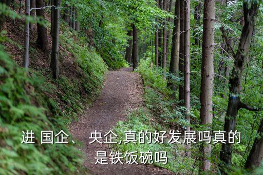 進(jìn) 國(guó)企、 央企,真的好發(fā)展嗎真的是鐵飯碗嗎