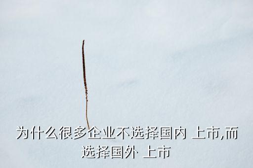 為什么很多企業(yè)不選擇國內(nèi) 上市,而選擇國外 上市