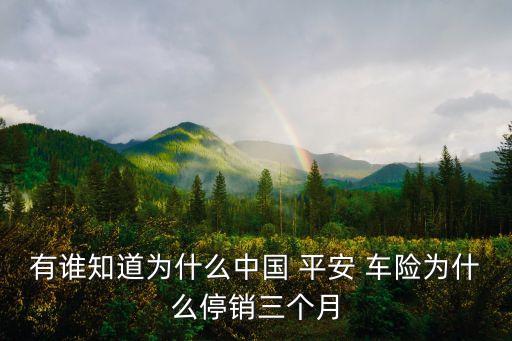 有誰知道為什么中國(guó) 平安 車險(xiǎn)為什么停銷三個(gè)月