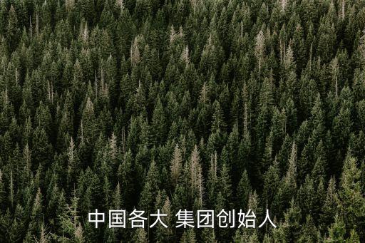 中國各大 集團創(chuàng)始人