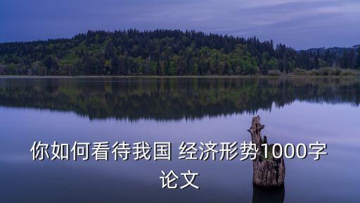 有人認(rèn)為中國經(jīng)濟(jì)出現(xiàn)
