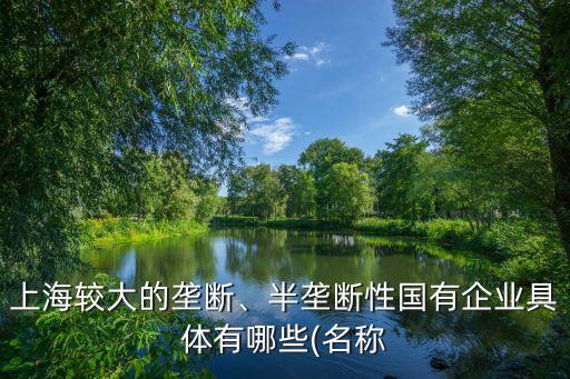 上海較大的壟斷、半壟斷性國(guó)有企業(yè)具體有哪些(名稱